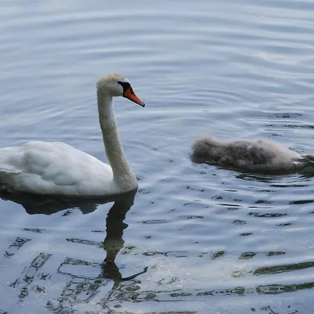 Hotel Der Erlhof Restaurant & 3*